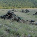 Jackal Stone 09 SOF Exercise: International special operations exercise conducted in Croatia