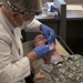 Soldiers Gets Dental Exam