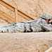 At home on the range