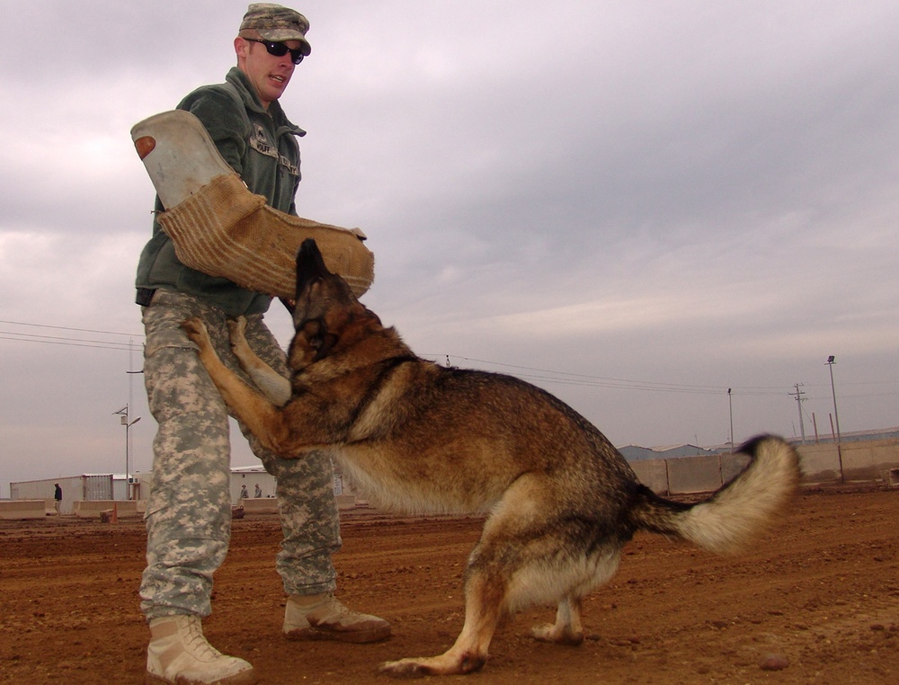 Highlighting K-9 capabilities