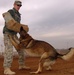 Highlighting K-9 capabilities