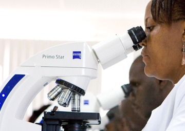 Malaria study