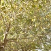 Arghandab District, Kandahar, Afghanistan