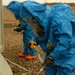 Soldiers conduct HAZMAT exercise