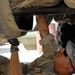 Adder mechanics keep the Army rolling