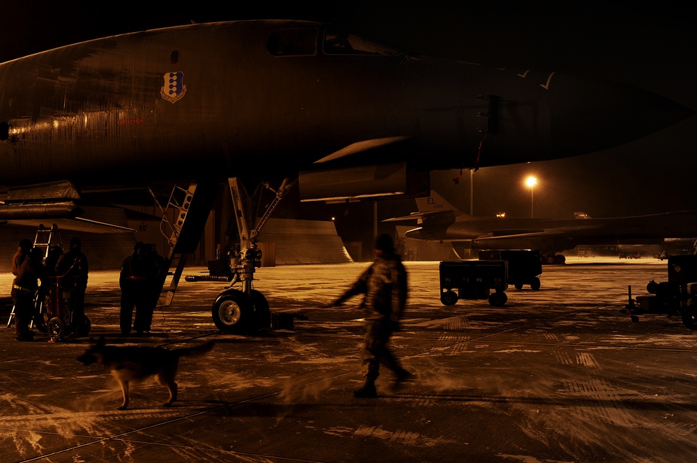 Flightline Patrol