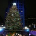 Marines Join Rockefeller Center Tree Lighting