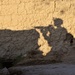 Combined patrol in Afghanistan