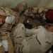 Iraqi soldiers receive mass casualty training