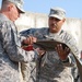 Casing of the colors for Texas based engineers