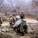 Marines clear Taliban stronghold during Operation Cobra's Anger