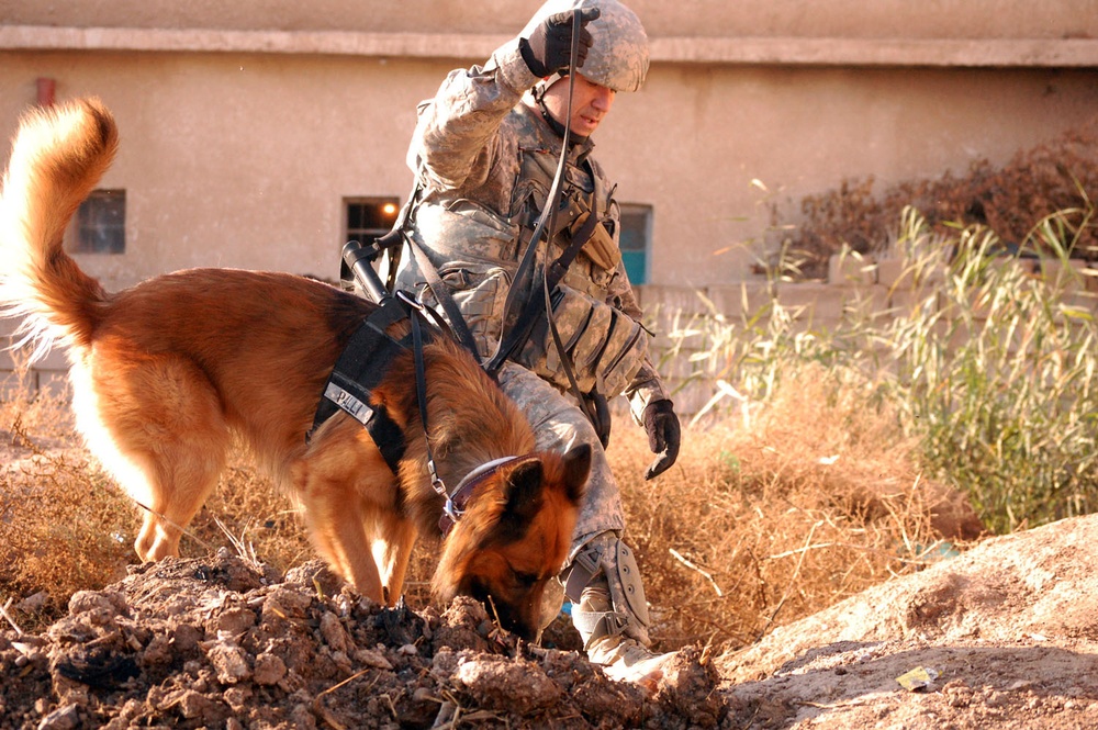 Dragons, Iraqi Army Knock and Talk in Hor Al-Bash