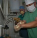Airmen Perform Operations With Kyrgyz Surgeons
