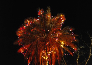 Holiday Cheer at Camp Ramadi, Iraq