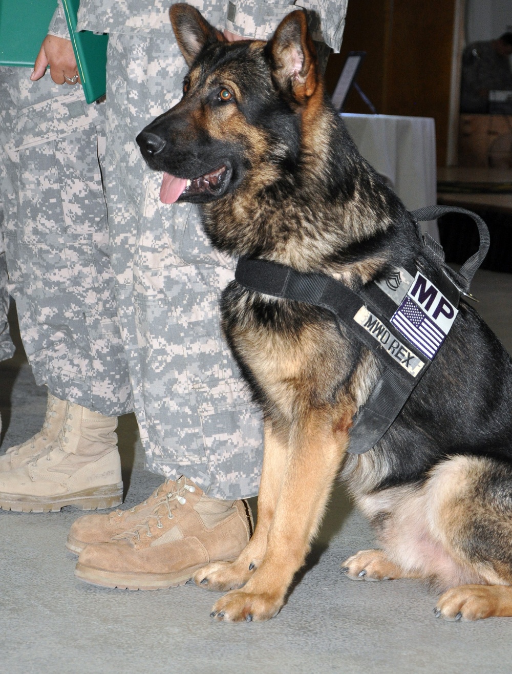 Q-West Military Dog Fetches NCO Corps Induction