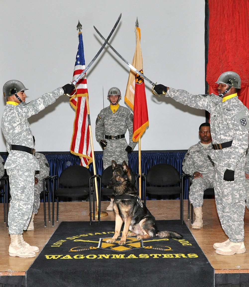 Q-West military dog fetches NCO Corps induction