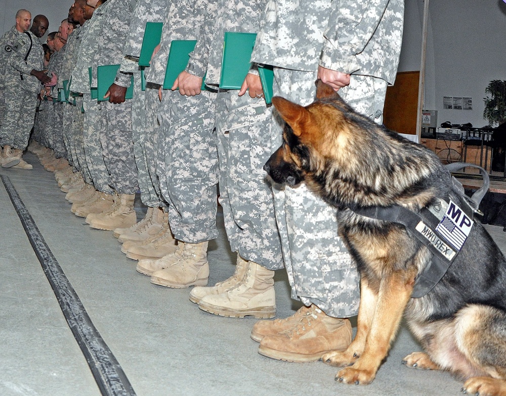 Q-West military dog fetches NCO Corps induction