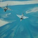 Multinational Exercise