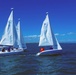 Yacht Club Sailboat Regatta