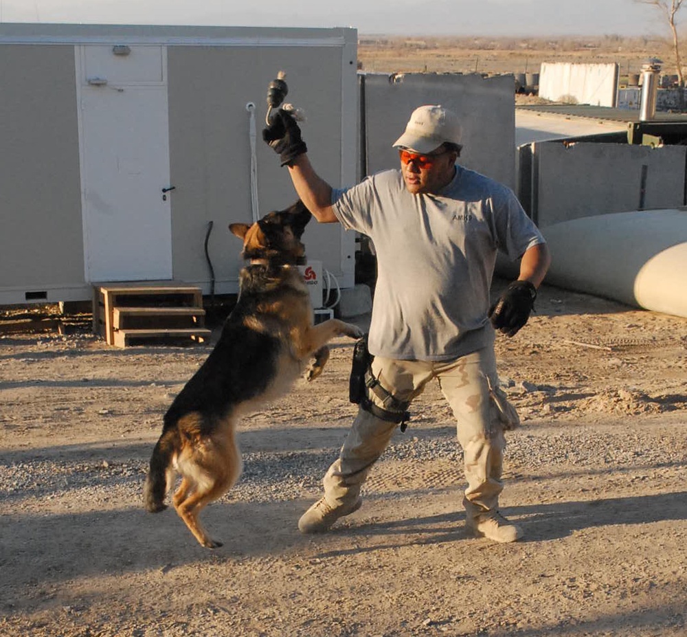 Dog Days of Afghanistan