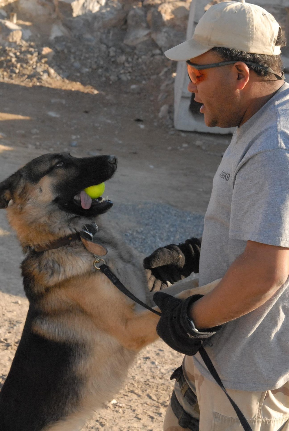 Dog Days of Afghanistan