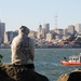 Station San Francisco Responds to Sunken Vessel