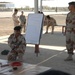 Improvised explosive device training