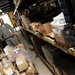 Equipping the Warfighter