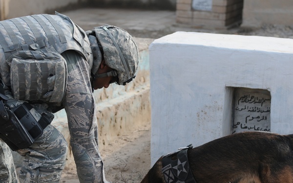 U.S., Federal Police conduct patrol, search