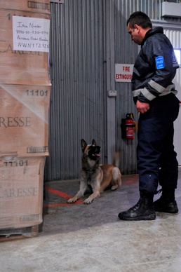 Kosovo Police and KFOR dog handlers make a great team in joint training