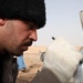 Iraqi investigators practice crime scene investigation