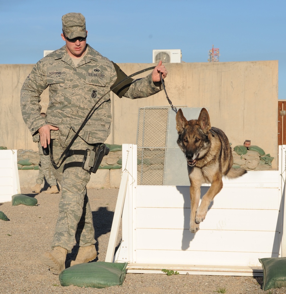 Military Working Dog Serves Last Rotation