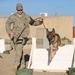 Military Working Dog Serves Last Rotation