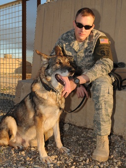 Military Working Dog Serves Last Rotation