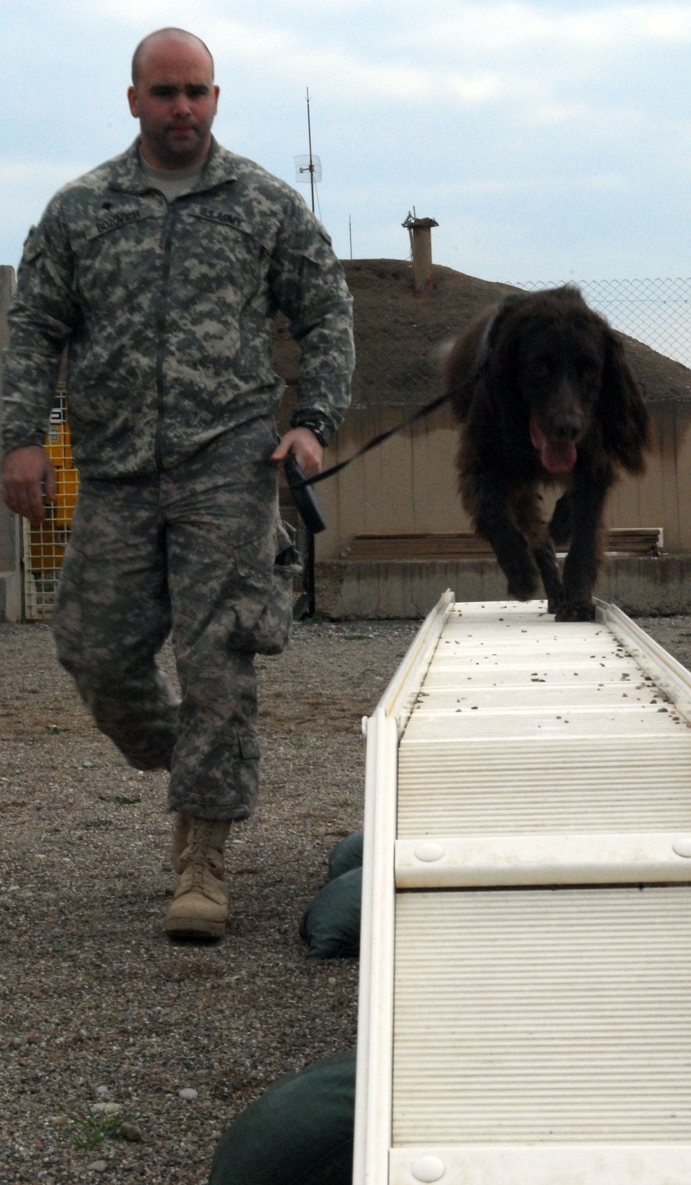 Playtime, Training Pays Off for SSD