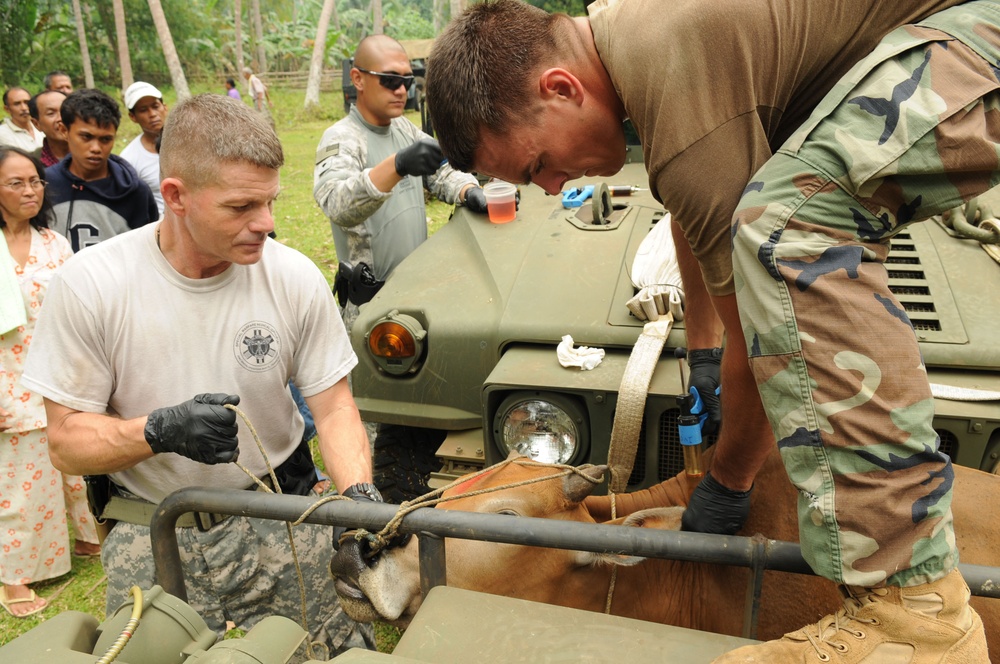 Marine Battalion Landing Team-3 and Task Force Sulu Partner Treat Patients and Animals at Medical and Veterinarian Civic Action Program