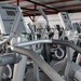 Working out key to 'survivability'