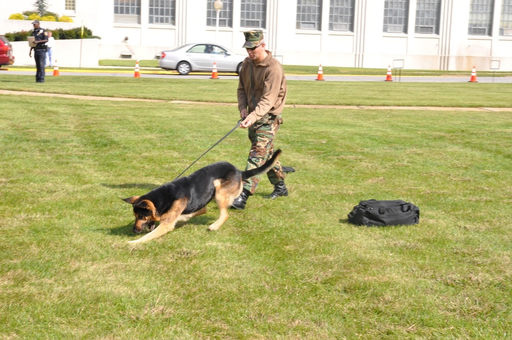 NDW Working Dog Program to Expand