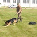 NDW Working Dog Program to Expand