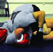 The warrior spirit: California KFOR Soldier improves military skills through Mixed Martial Arts