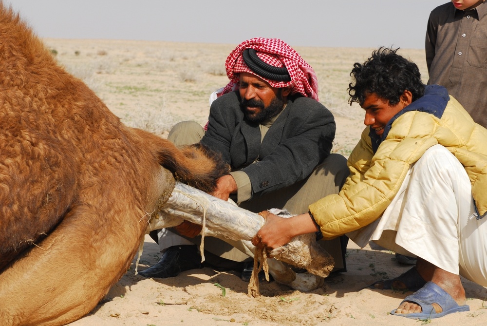 Iraqi Bedouins seek role in secure future