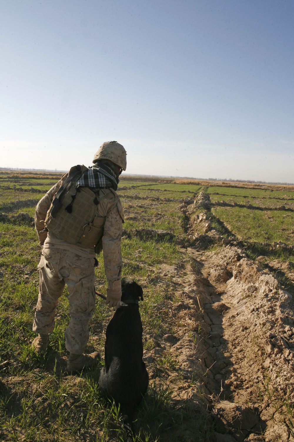 One dog, One Marine, One mission