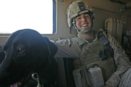 One dog, One Marine, One mission