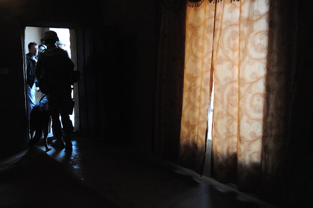 Combined Forces Perform Cordon and Search