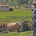 The 22nd MEU has distributed supplies in the area to aid earthquake victims