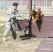 72nd Handlers, MWDs Complete Missions in Iraq