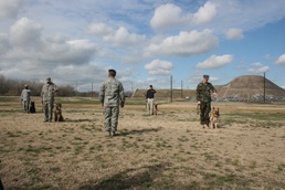 72nd Handlers, MWDs Complete Missions in Iraq
