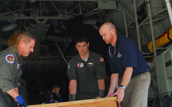 Taking care of sick turtles