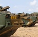 Cobra Gold 2010