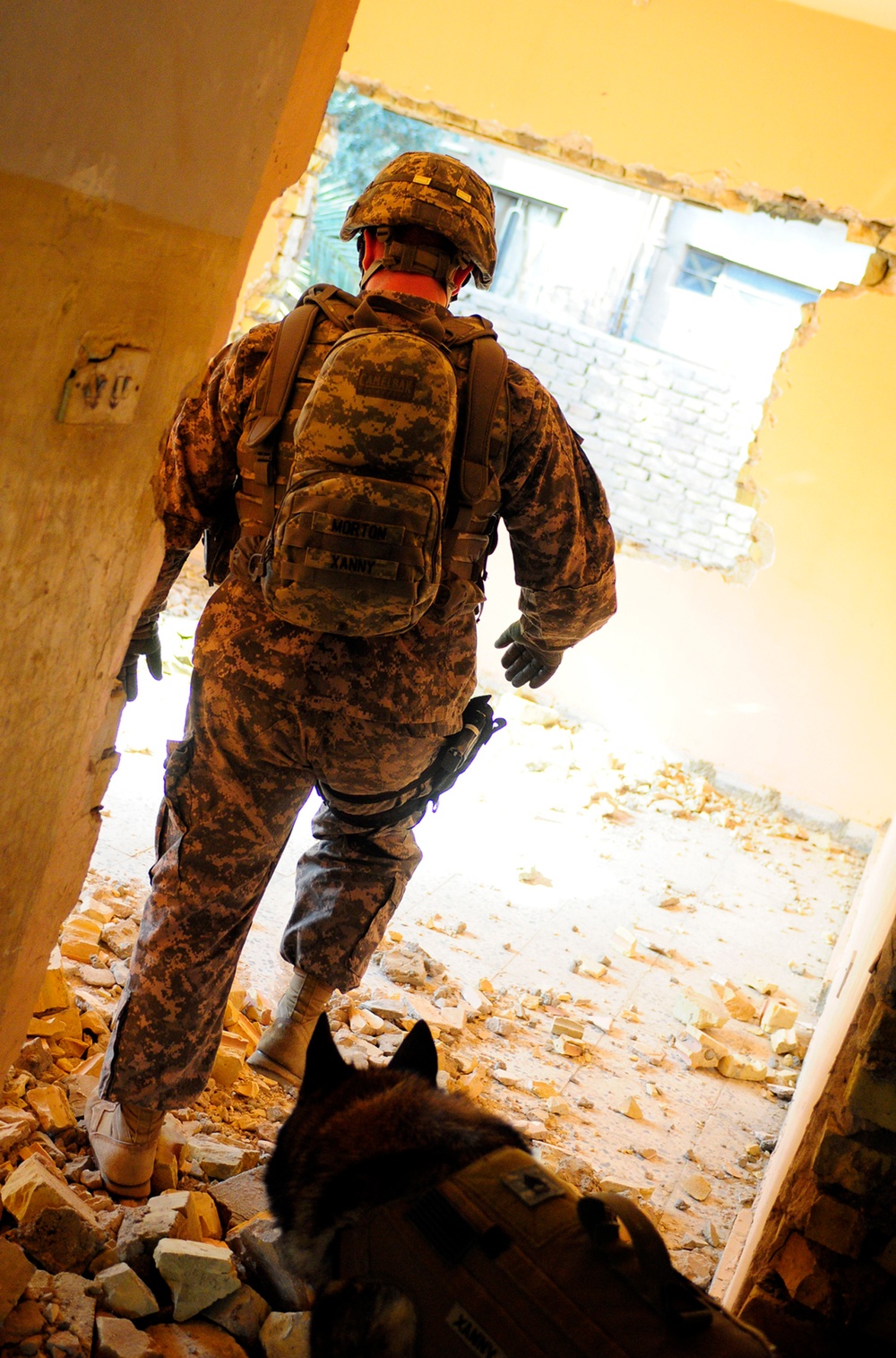 ISF uses U.S. dog team for foot patrol in Baghdad